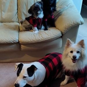 Meet your Posher, Brenda